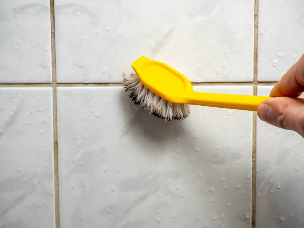 Best Emergency Mold Removal  in , VA