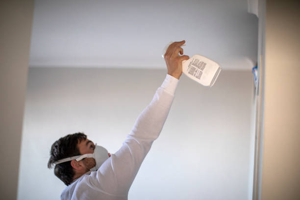 Best Crawl Space Mold Removal  in , VA