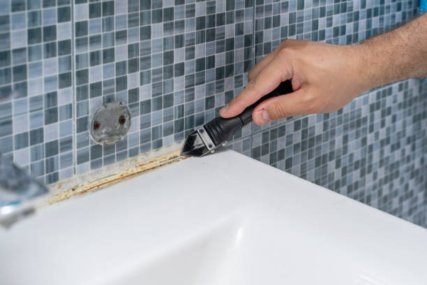Best Local Mold Removal Service  in , VA